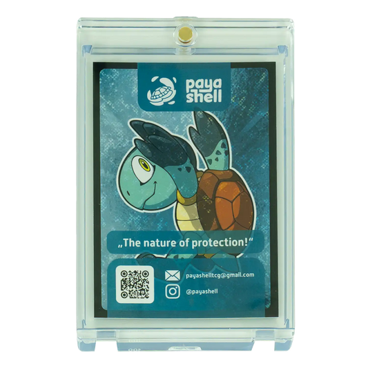 Magnetischer Kartenhalter – 100 PT (5-Pack) - Sportkarten Version